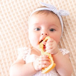 Vanilla teething ring Sophie la girafe - naranja