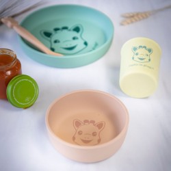 Silicone meal set